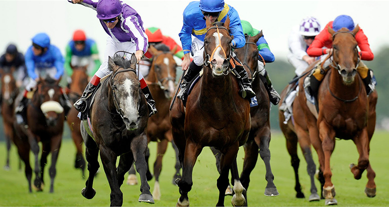 Amour-of-the-Grape-Race-Package